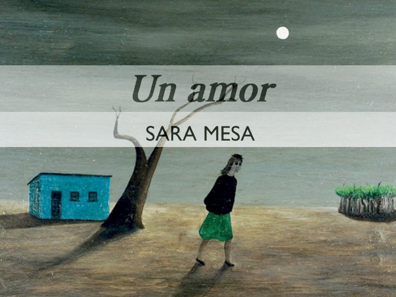Un amor de Sara Mesa
