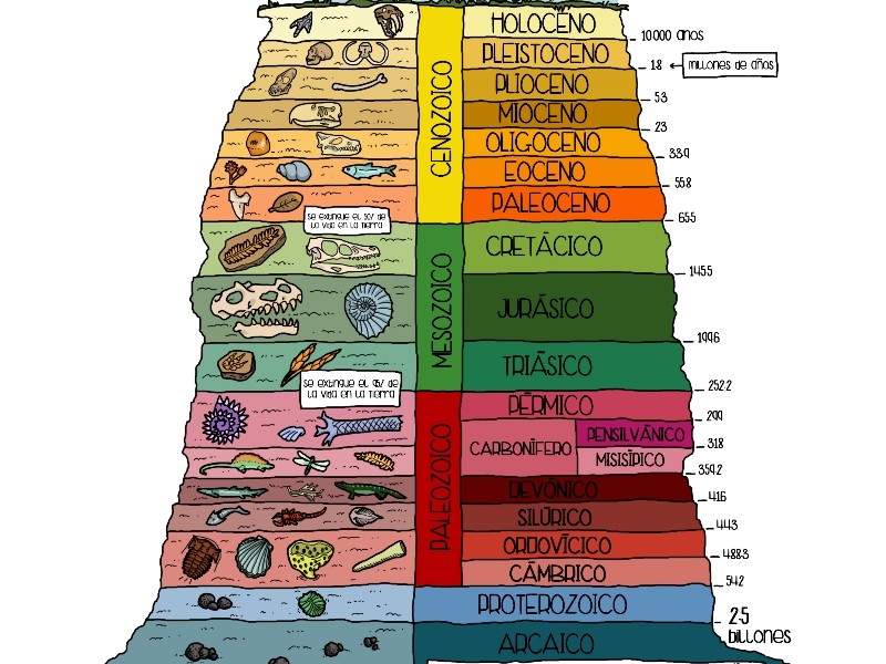 Eras y períodos geológicos